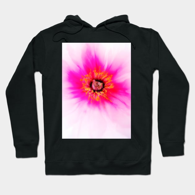 Flashy Flower Explosion Hoodie by MiRaFoto